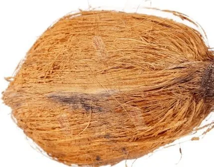 नारियल के टोटके से कैसे पाए जीवन सुख शांति 6 nariyal ke totke to get happiness and peace in life 38 नारियल के टोटके से कैसे पाए जीवन सुख शांति How to get happiness and peace in life with 6 coconut trick